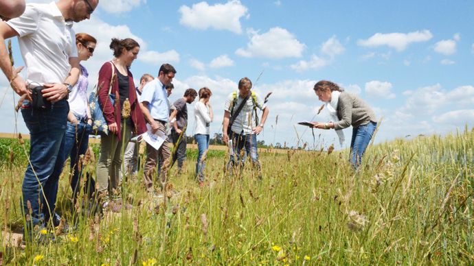La biodiversité, comme ici avec l’étude des bordures de champs, représente un des quatre axes de la certification HVE.